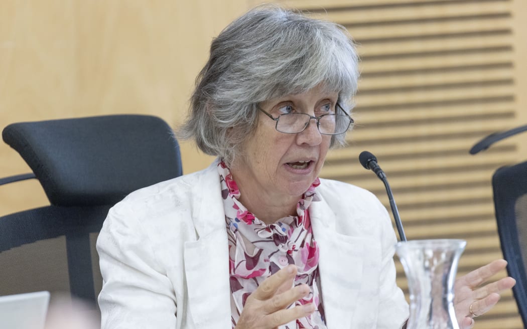 Clare St Pierre’s preferred option is a low-lying bridge on the western side of the existing bridge. Credit Kelly Hodel / Waikato Times