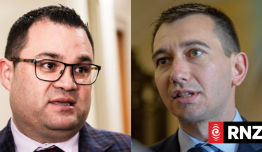 Palmerston North MP calls for fix to shortage of gastroenterology specialists at its hospital