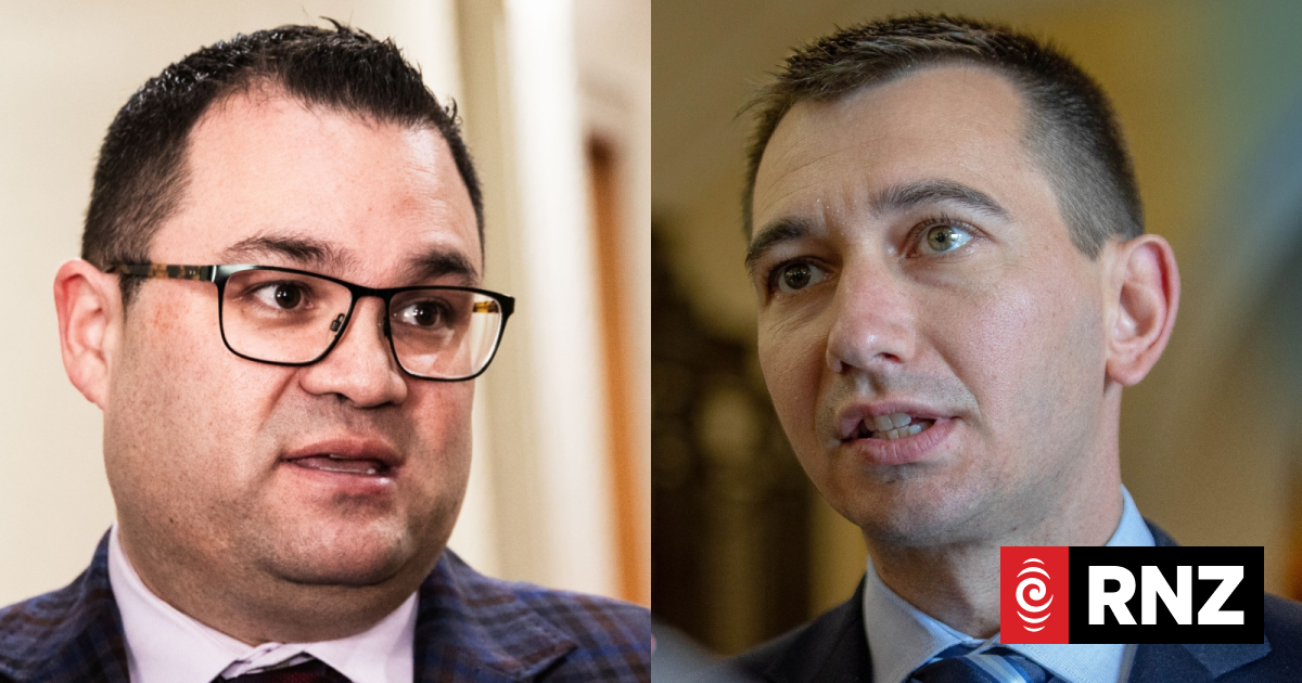 Palmerston North MP calls for fix to shortage of gastroenterology specialists at its hospital