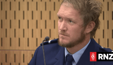 Court hears moment car struck Senior Sergeant Lyn Fleming in Nelson carpark