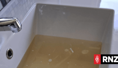 'Brown and disgusting' water coming out of Palmerston North taps
