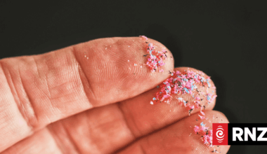 The Great Pacific Garbage Patch is a plastic trash nightmare. It could also be part of a much bigger, hidden problem