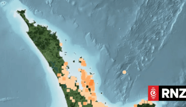 Earthquake trio hits north of Bay of Plenty
