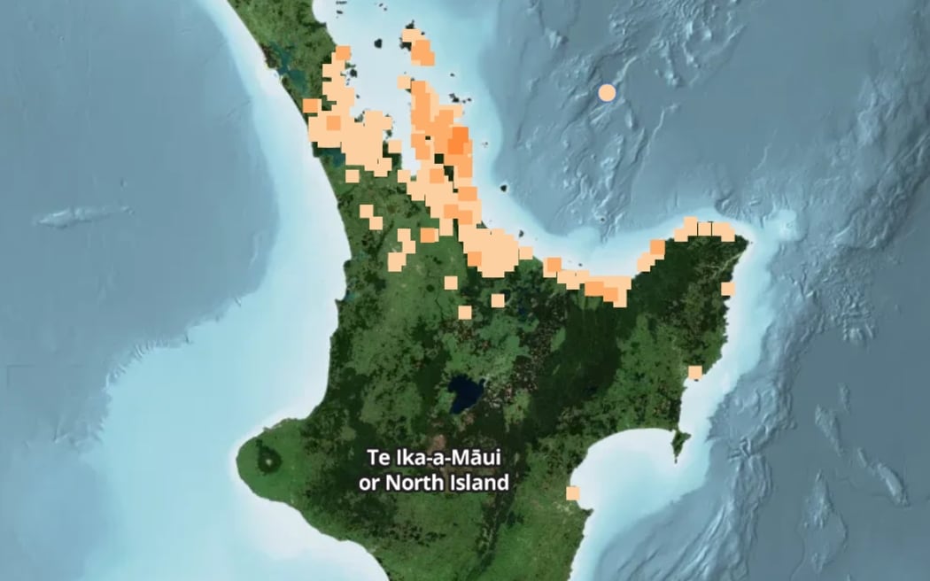 1,958 people reported feeling the first quake across Auckland, Waikato, Coromandel and Bay of Plenty.