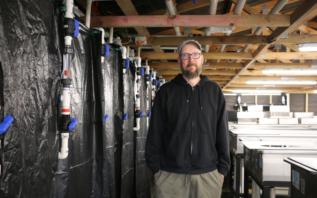 Akaroa Salmon hatchery manager Hagen Kocksch.