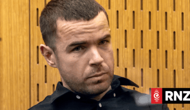 Police officer killed by car worried about traffic management that night, court told