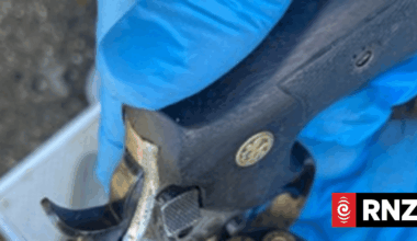 Explosives, loaded guns and drugs found at man's property
