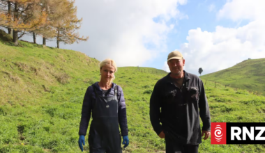 Taupō couple lose life savings in a 'callous' scam by friend Petronella Laatz