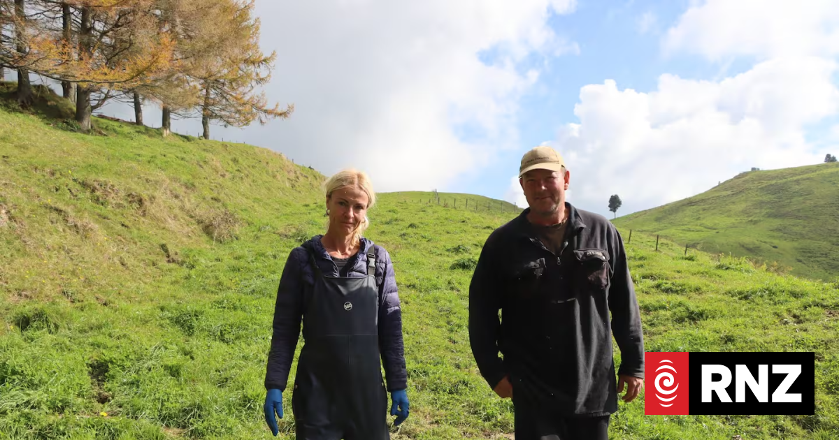 Taupō couple lose life savings in a 'callous' scam by friend Petronella Laatz