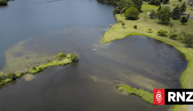 The reason why toxic algae thrives in Waikato’s lakes