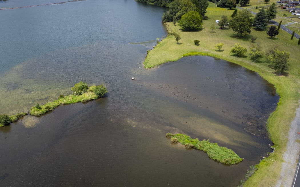 Lakes in the Waikato have been plagued by toxic algae for years.