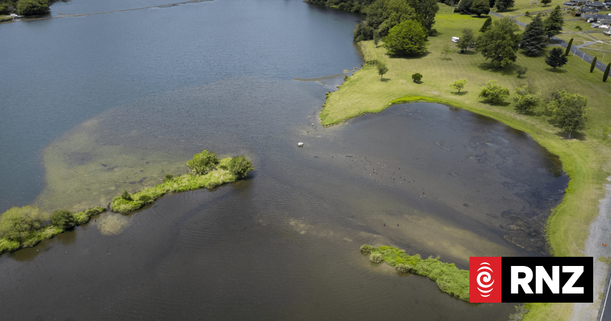 The reason why toxic algae thrives in Waikato’s lakes
