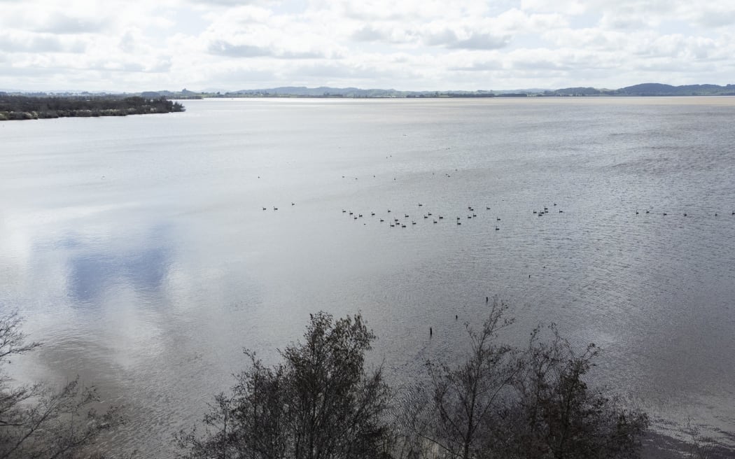 Lake Waikare has had a health warning for five years straight.