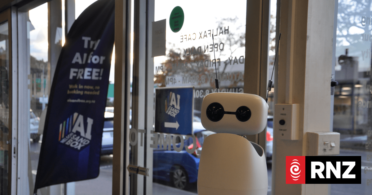 AI cafe making technology accessible in Nelson