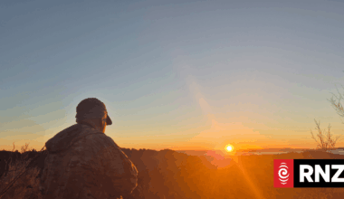 Country Life: The art of deer stalking during the roar