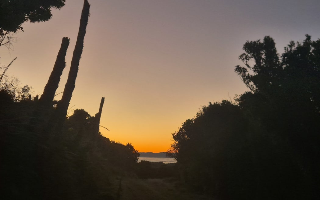 This early in the morning, the bush is still quiet except for the roaring stags.