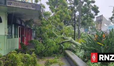 The business impact of weather warnings