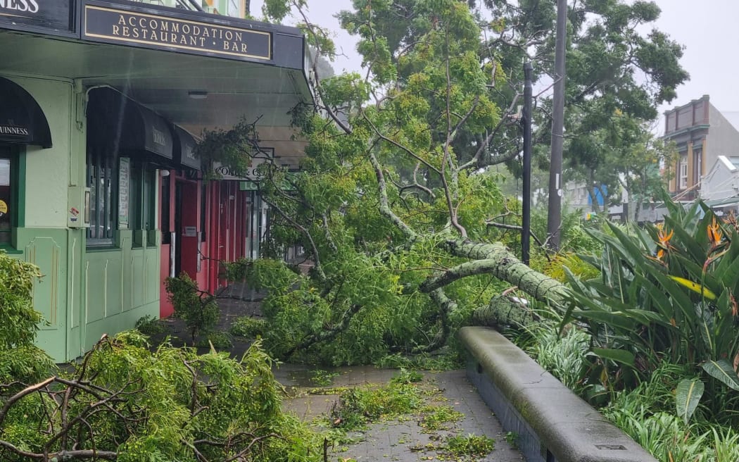 A large tree down outside a restaurant in central Whakatāne during Cyclone Vaianu, on Sunday 12 April, 2026.