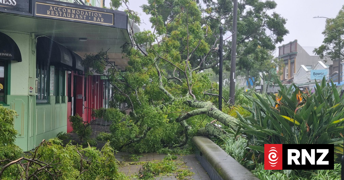 The business impact of weather warnings