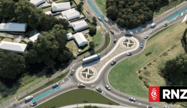 Roundabout the motu: The loved and hated road features
