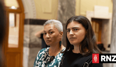 Green Party wants power companies to cap power bill increases at rate of inflation