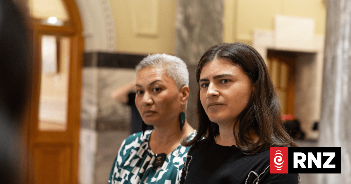 Green Party wants power companies to cap power bill increases at rate of inflation