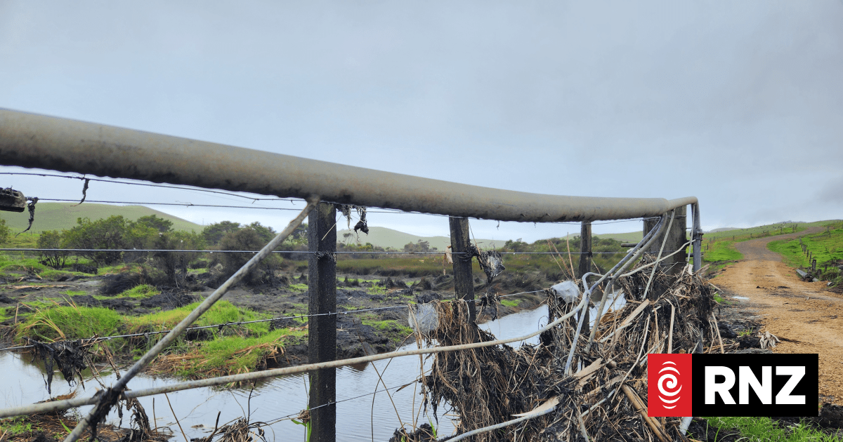 Country Life: Northland's storms test award-winning farm with 'million-dollar' herd