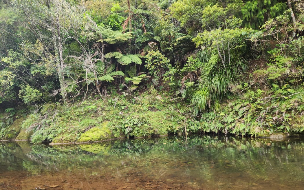 The swimming hole which inspired Nudi Point