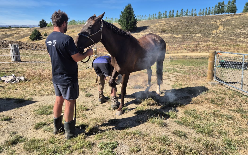It's paddock mate Rip's turn to be fitted.