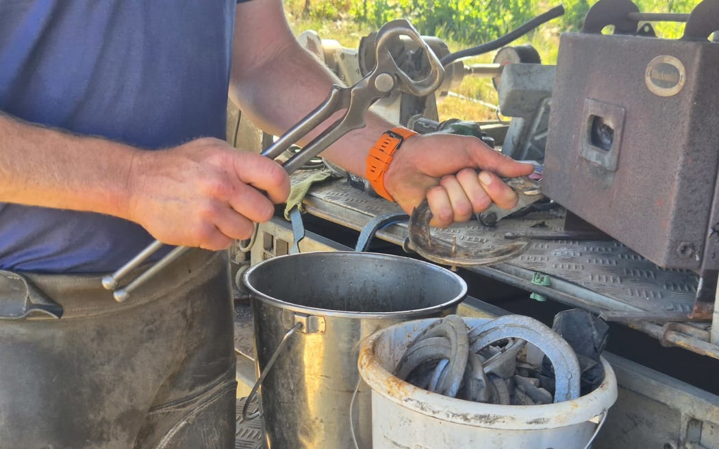 Horse shoes which can't be reused are given to a local artist.