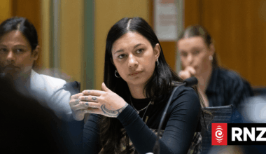 'The violence that I experience is not casual': Māori women tell Waitangi Tribunal of abuse