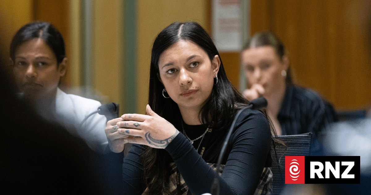 'The violence that I experience is not casual': Māori women tell Waitangi Tribunal of abuse
