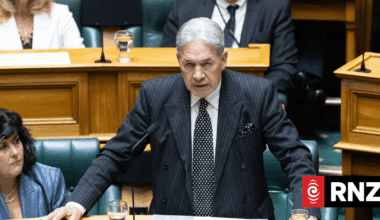 What is the English Language Bill and what would it actually do in New Zealand?