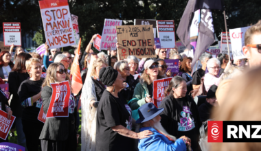 Formal complaint lodged with United Nations over changes to New Zealand's pay equity laws