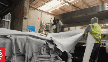 NZ exporter says 'bit of a relief' EU might exclude leather from deforestation rules