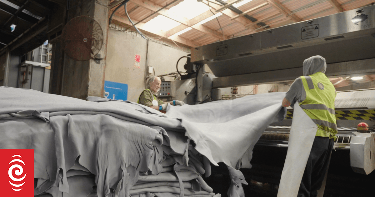 NZ exporter says 'bit of a relief' EU might exclude leather from deforestation rules