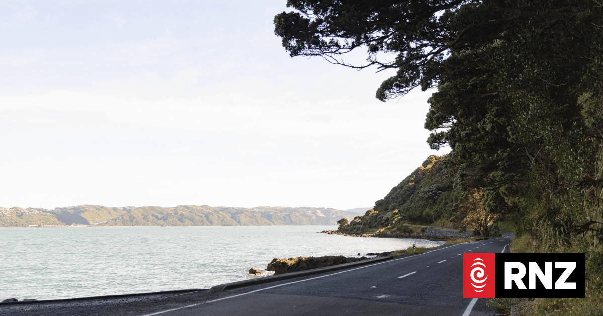 Seawall repair to close part of Miramar Peninsula for months