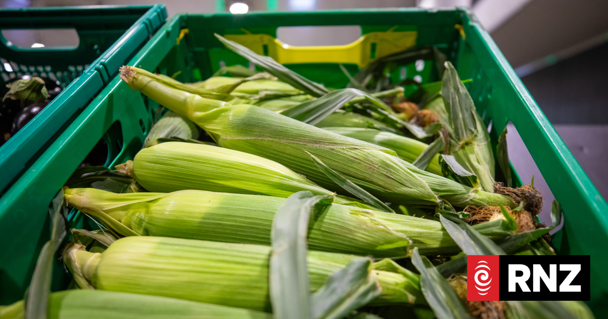 Government invests $50,000 for Hawke's Bay grower group's McCain factory takeover bid