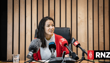 Green Party bill to ban mining on public conservation land drawn in Parliament
