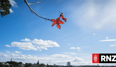 Our Changing World: Hydrogen detectives