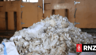 New finding reveals untapped potential in fibre industry