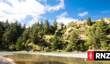 Friend tried to save rafting companion trapped in water