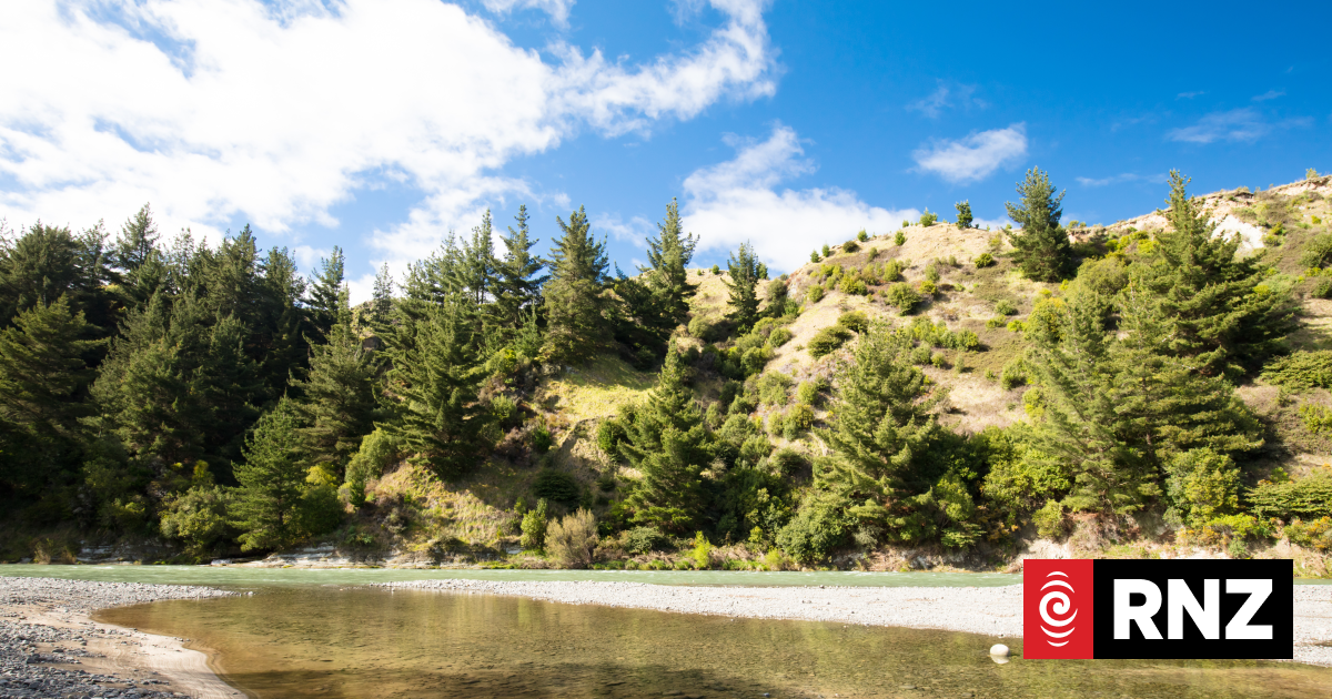 Friend tried to save rafting companion trapped in water