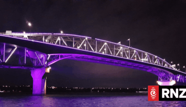Could Auckland Harbour Bridge soon have a corporate sponsor attached?