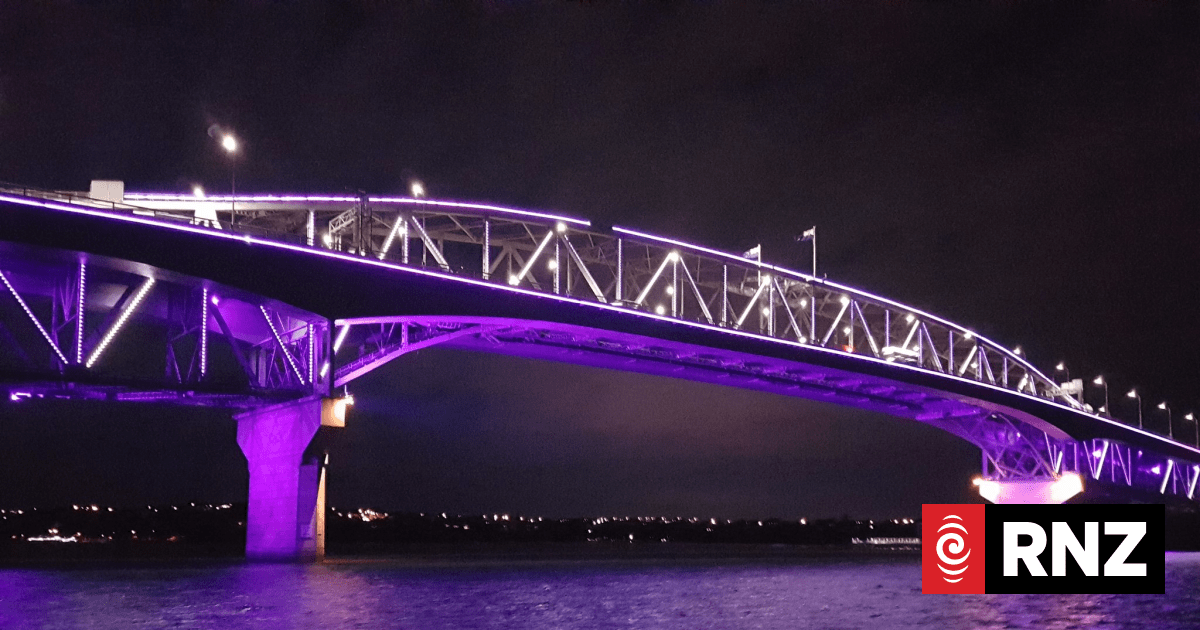 Could Auckland Harbour Bridge soon have a corporate sponsor attached?