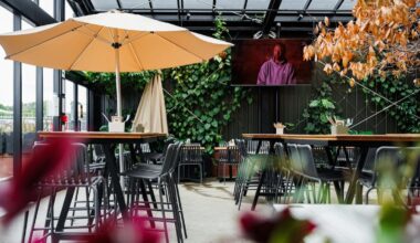 Jesse Mulligan Reviews Springs Tavern, The New Gastropub Near Mt Smart, Where Everyone Is Welcome, Including Your Dog