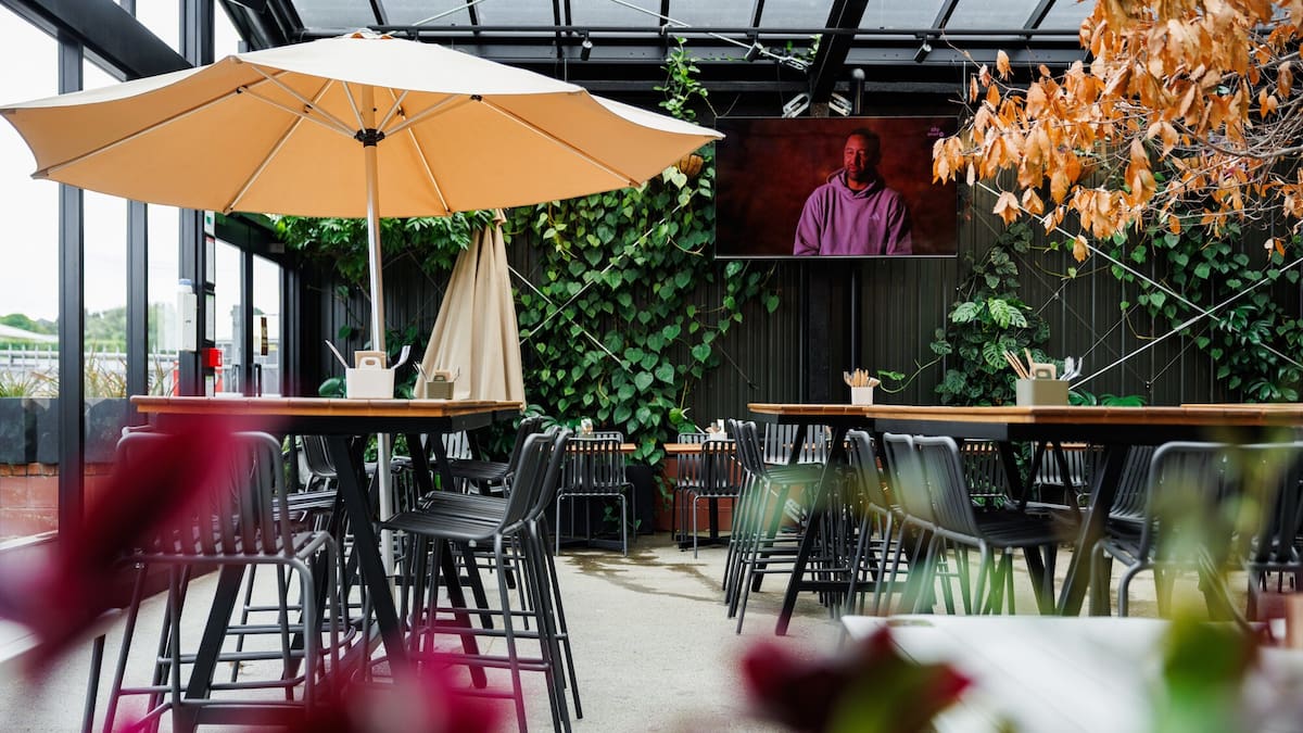 Jesse Mulligan Reviews Springs Tavern, The New Gastropub Near Mt Smart, Where Everyone Is Welcome, Including Your Dog