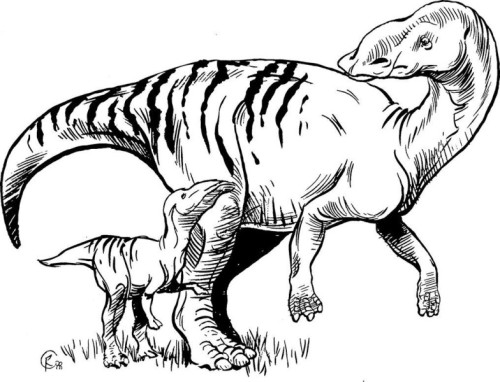 Artist's reconstruction of adult Maiasaura and young. Illustration by Brian Regal.