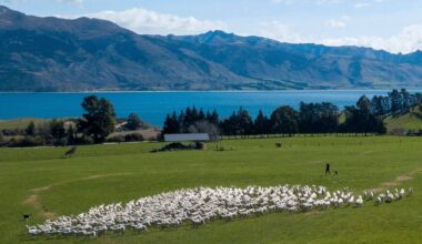 Court case challenges New Zealand's 'magical thinking' climate plans