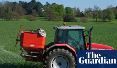 Ministers in talks over shelving carbon tax on fertiliser to curb UK food inflation | Inflation